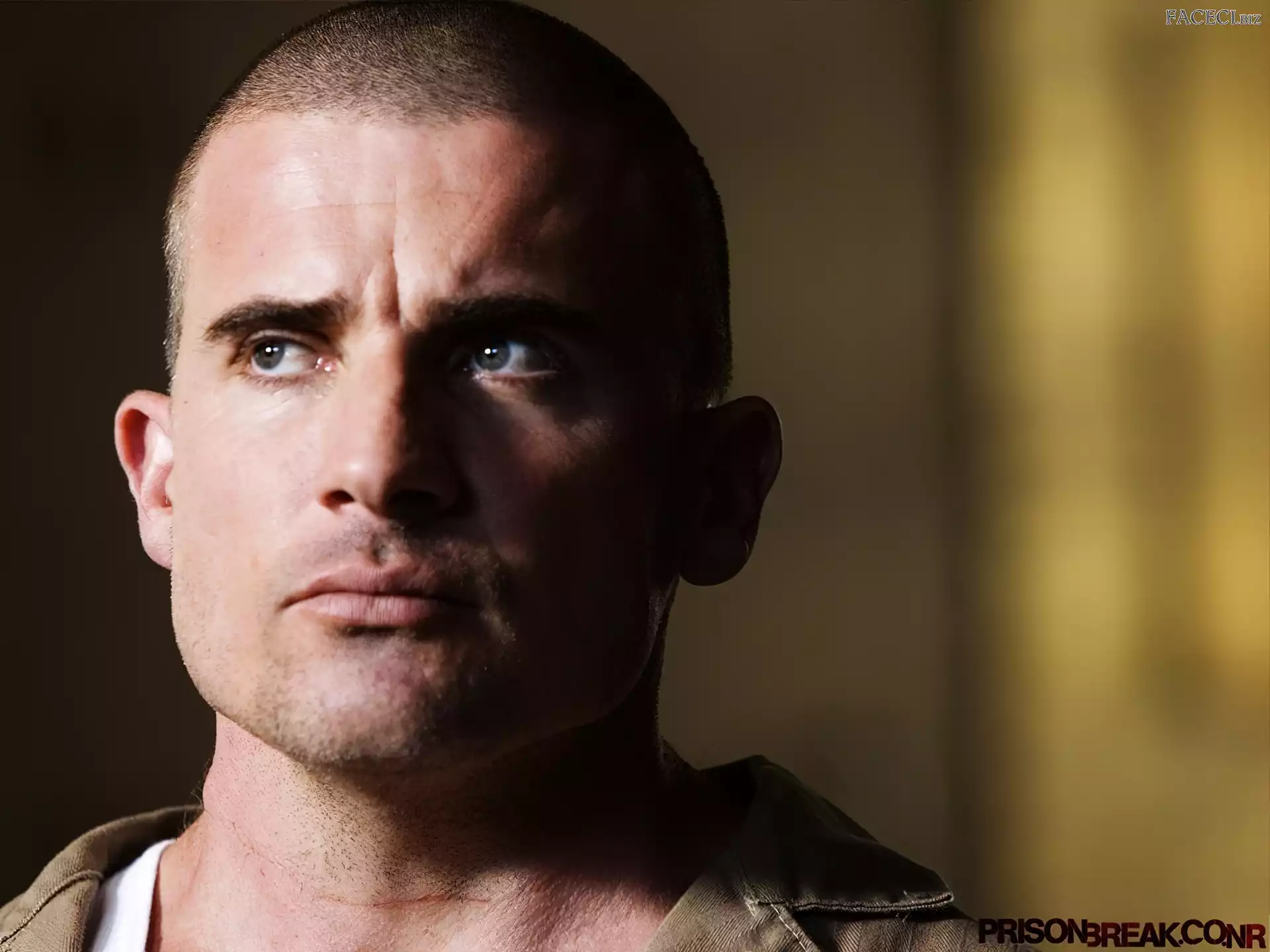 niebieskie oczy, Dominic Purcell